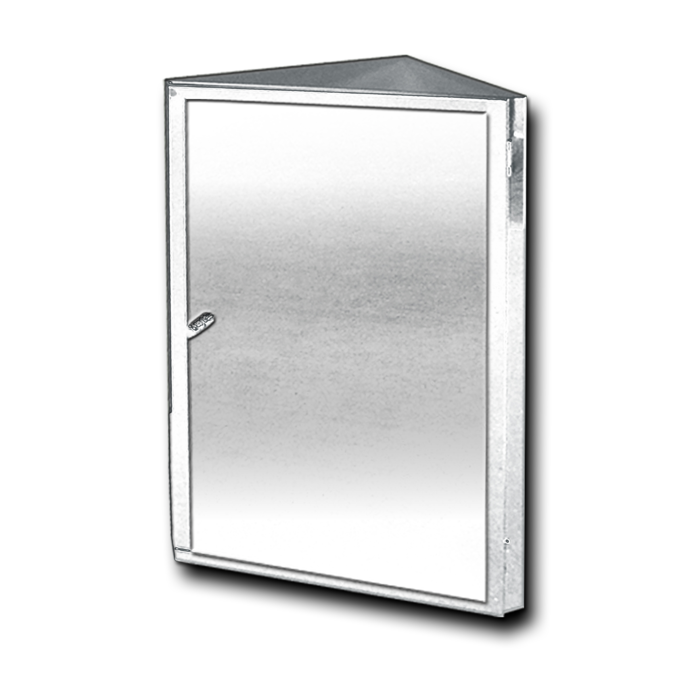 Stainless Steel Frame Door Fidelis Singapore